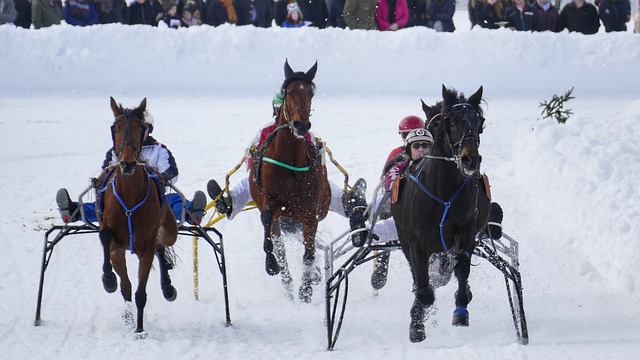 才让我们对 才让我们对