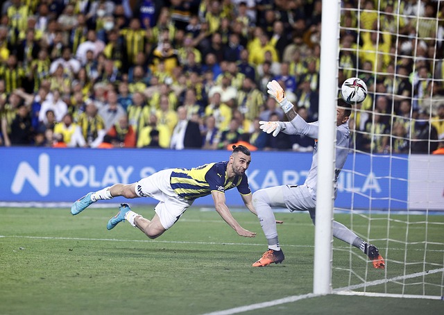 这场比赛使 这场比赛使