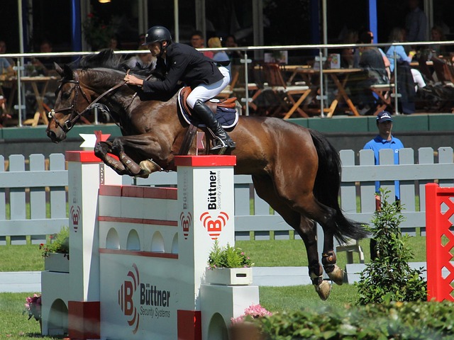 尤文图斯历 尤文图斯历